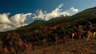 北海道／美瑛町【十勝岳望岳台】紅葉と星空タイムラプス