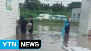 [날씨] 제주 기습 폭우로 30여곳 피해...시간당 66mm 기록 / YTN