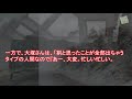 大塚寧々と田辺誠一の夫婦仲が素敵すぎる…不倫と噂された真相とは…大塚寧々の美容法は…