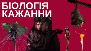 Кажанна: чому її пісні про мікогетеротрофію, еволюційний анахронізм та втрати хлоропластного геному?