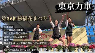 2024.03.31 東京力車 台東区 第36回桜橋花まつり