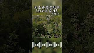 你到底爱谁 闽南歌曲