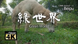 【4K】20240901 @ 綠世界生態農場 Green World Ecological Farm (Please turn on subtitles)