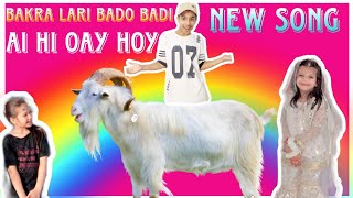 Bakra Laray Bado Badi| Moka Mily Kadi Kadi| Ai Hi Oay Hoy| New Song| #ytshorts #viralvideo #badobadi