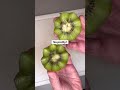 must try kiwi cutting hack