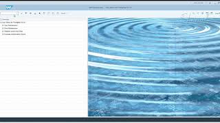 12. SAP GRC - EAM - Using EAM