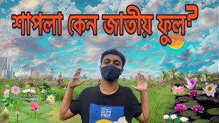 শাপলা ফুল💐💐/ শাপলা কেন জাতীয় ফুল 😱#vlog #blogger  #viral #village #nahid