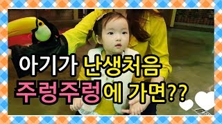 [ENGSUB] 17개월 아기가 주렁주렁에 가면? 실내동물원 주렁주렁 일산점 첫 방문기