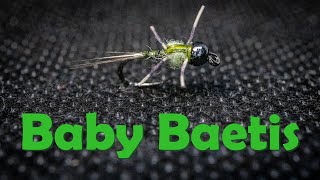 Baby Baetis - Great For Imitating Small Mayfly Nymphs