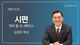 시편 12편1~8절/ 고통받는의인의비탄시/김경우 목사 / 2025.02.19 / 양평동교회 새벽기도회