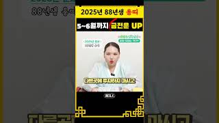 🍀2025년 을사년 88년생 용띠운세🍀금전운이 상승한다! 하반기에 투자해도 좋아!✊🏻#2025년운세 #을사년 #용띠 #88년생 #대박나는띠