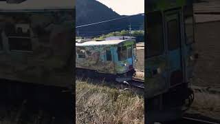 美並苅安↔赤池　わくわくたんけん号🙋🎸＃長良川鉄道