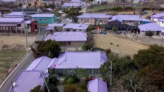 Stunning aerial view of South Korean 'Purple Islands'