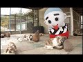 四日市ar動画 南部丘陵公園（201411）