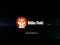 shiba floki $floki https www.shibafloki.com elonmusk