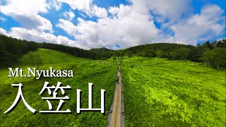 【入笠山】 入笠湿原に子連れで行ったらお花の宝庫だった