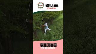 투어 프로도 실수를 합니다 공이 뒤로 가버린 윤이나 프로