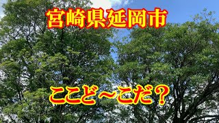 ここど～こだ？　宮崎県延岡市