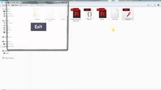Action Script 3 0 Exit button