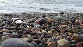 石と海の、癒しの時間。008　〜福井、褐色の石と海〜（旅、趣味、癒し、環境音、定点カメラ）