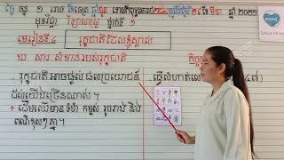 មេរៀនទី៤ រុក្ខជាតិដែលខ្ញុំស្គាល់