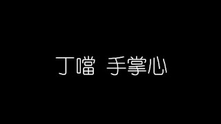 丁噹   手掌心 無損音樂FLAC 歌詞LYRICS 純享