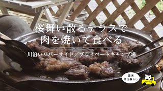 【川リバ】桜舞い散るテラスで肉を焼いて食べる【プライベートキャンプ場】Eating meat on the terrace when the cherry blossoms are falling.