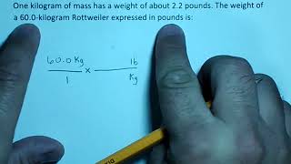 Dimensional Analysis Kg lb