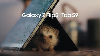 Galaxy Z Flip5 | Tab S9: Ecosystem Film | Samsung​