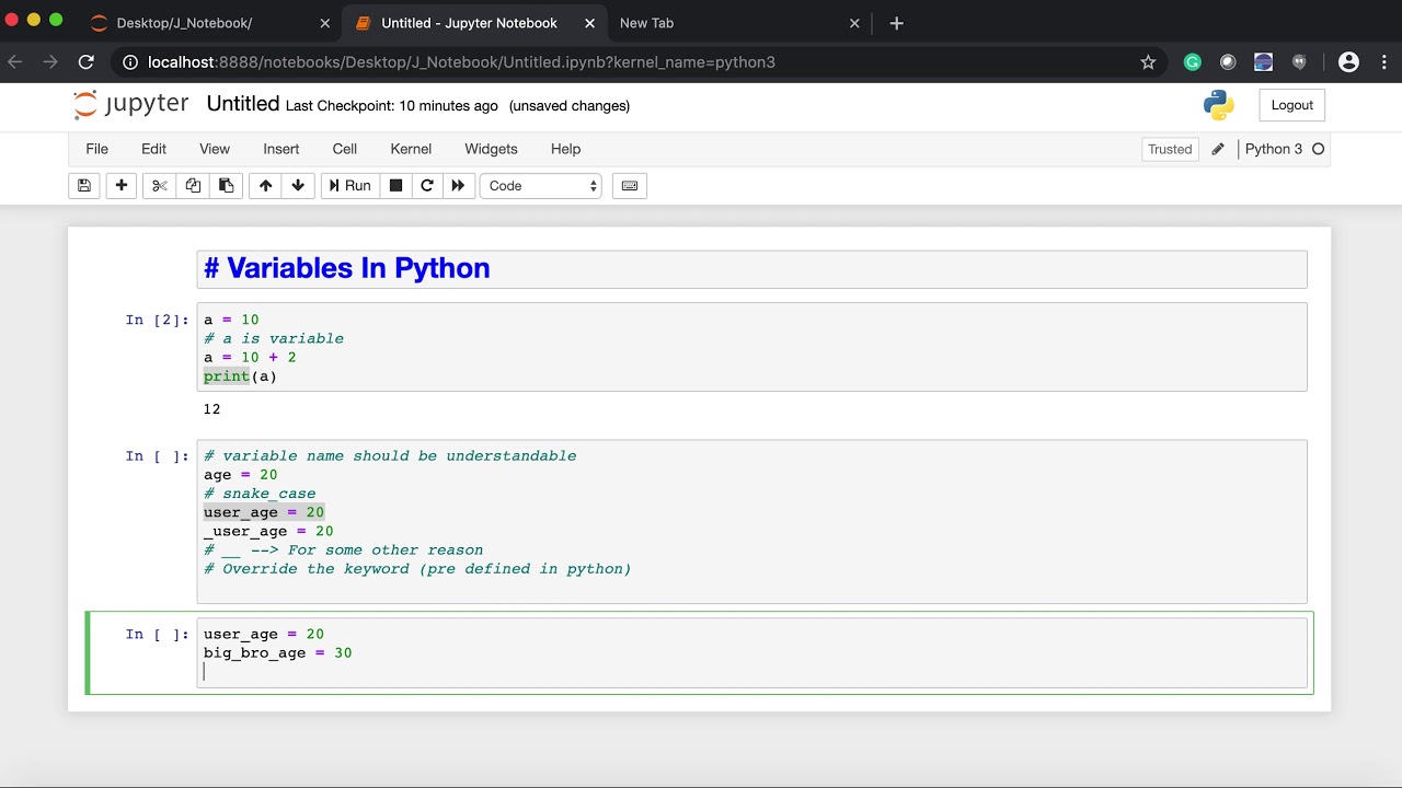 Python private. All Python variables. Infourok Python видео.