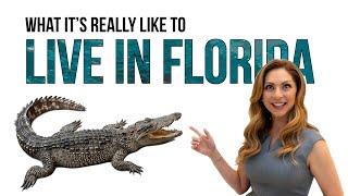 What's It Really Like to Live in Florida: Alligators