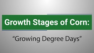 Growth Stages of Corn: Growing Degree Days