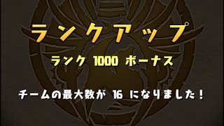 【裏修羅の幻界】ランク1000到達