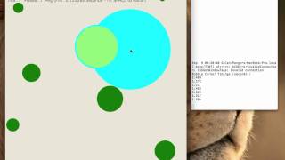 Bubble Cursor implementation - CS260