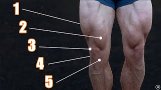 Exercises for Knee Pain (5 Things You Must Do!)