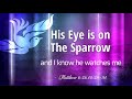 His Eye is on The Sparrow | English Christian Song | Beloveds Church