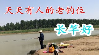 天天有人的老钓位 实战证明 用短杆真不如长杆