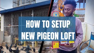 How to setup new pigeon loft | ಹೊಸ ಪಾರಿವಾಳದ ಮೇಲಂತಸ್ತುವನ್ನು ಹೇಗೆ ಹೊಂದಿಸುವುದು @dharwadpigeons4536