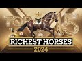 Top 15 Highest Earning Racehorses of 2024 !