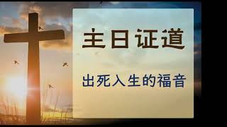 20201108 主日信息 出死入生的福音 周晓东传道