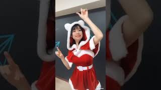 TikTokのくまめぐ  2019年のクリスマス