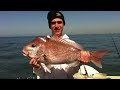 6.5 kg snapper port phiilip bay caught on 3kg rod and reel