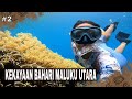 KEKAYAAN BAHARI MALUKU UTARA | JEJAK PETUALANG (06/08/24) Part 2