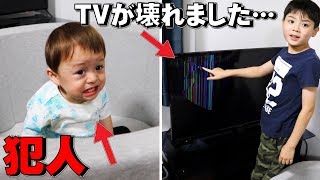 事件発生！しぃしぃがTVを壊しました…悲しすぎる…