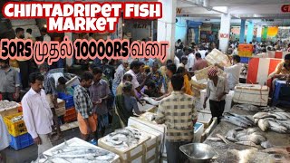 Chintadripet Fish Market | Chennai Famous Fish Market | 50rs to 10000rs Fish Available