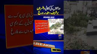 KMC Officers dismissed, case filed over tree felling in Karachi - Breaking News