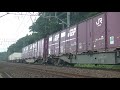 【原色牽引】 ef65 2096号機牽引貨物 四街道～物井通過