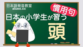 【日本語慣用句】JLPT《頭》일본어 공부(tiếng Nhật)