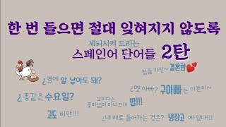 [웃김주의#2] 의미를 세뇌시켜 드리는 #재밌는스페인어🇪🇸 단어들 모음