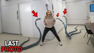 The Most HORRIFYING Snake Attacks Ever Recorded On Camera!